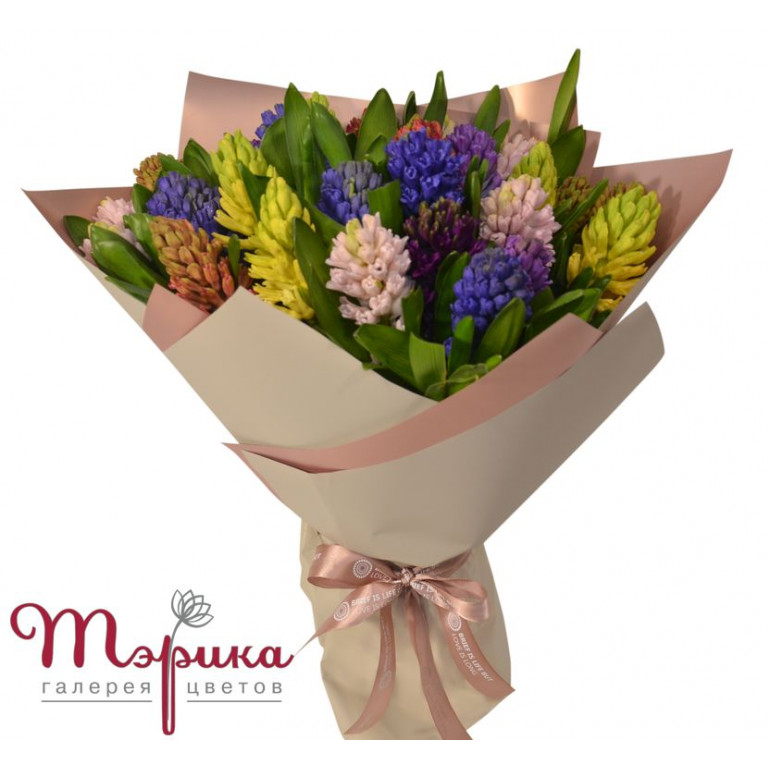 Мікс гіацинтів 25 штук