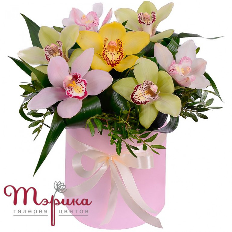 Фловер Бокс "Мелодія"
