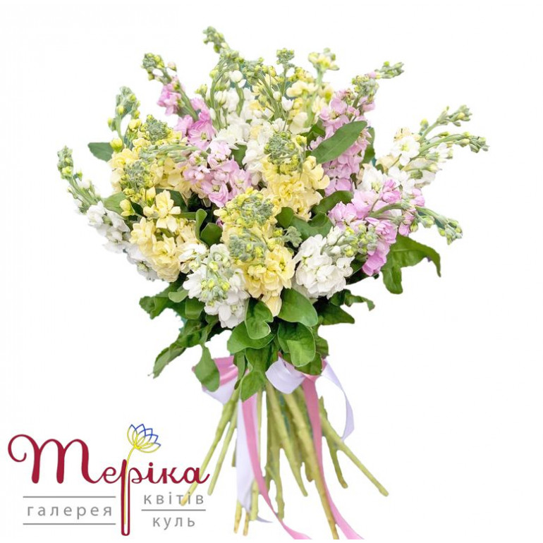 Букет Матіоли мікс 21 гілочка
