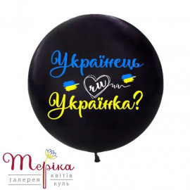 Гендерна куля 36 дюйма (95 см) для визначення статі