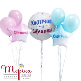 Хлопчик або Дівчинка?