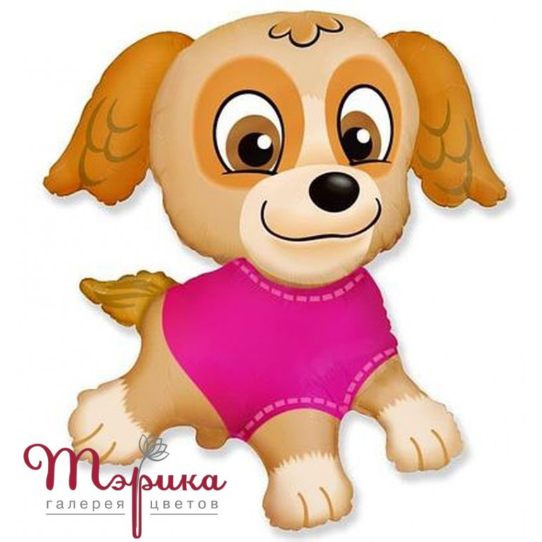 Цуценя Скай