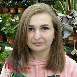 Флорист Ксенія: Флорист Ксенія: