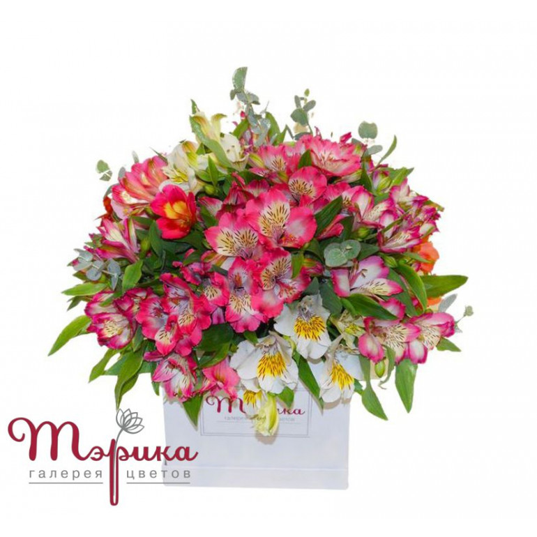 Фловер Бокс "Модниця"
