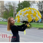 Букет яскравих ромашек (25 гілочок)